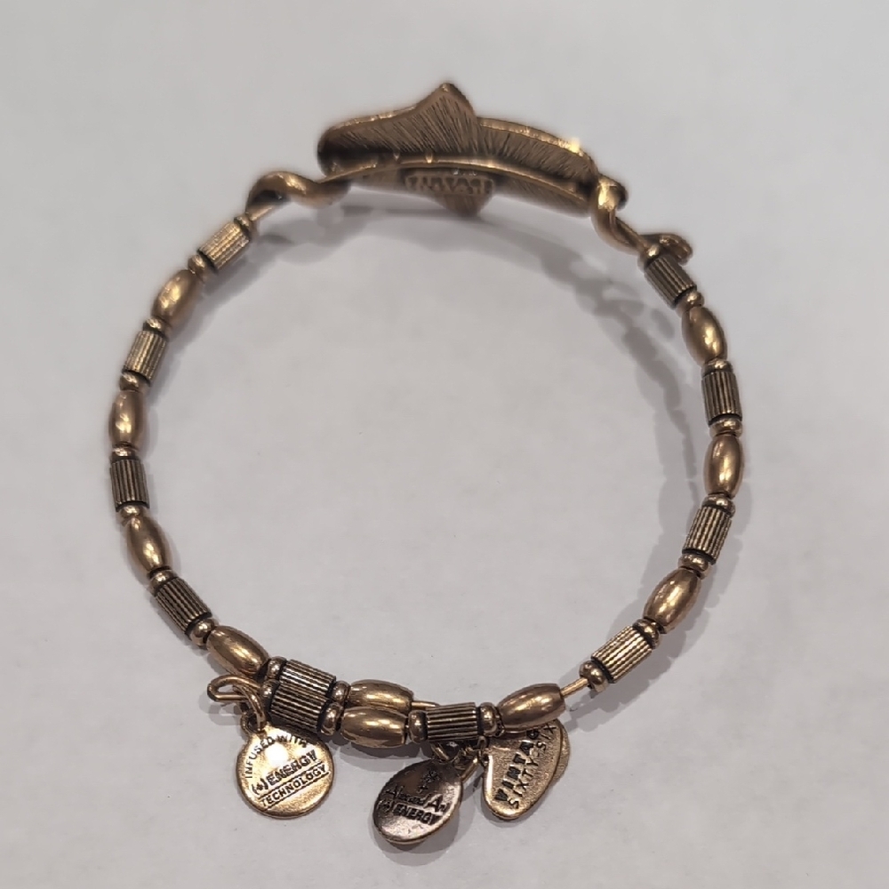 Alex and Ani Gold Hamsa Bracelet - Picture 3 of 4